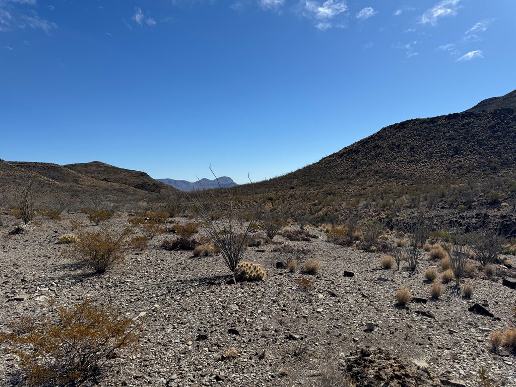 40 Red Fox Rd, Terlingua, Texas image 5