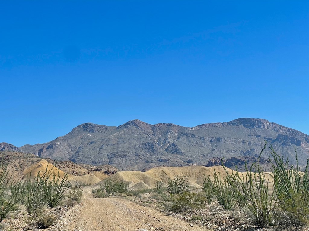 TR:184A Gate 2 Road, Terlingua, Texas image 10