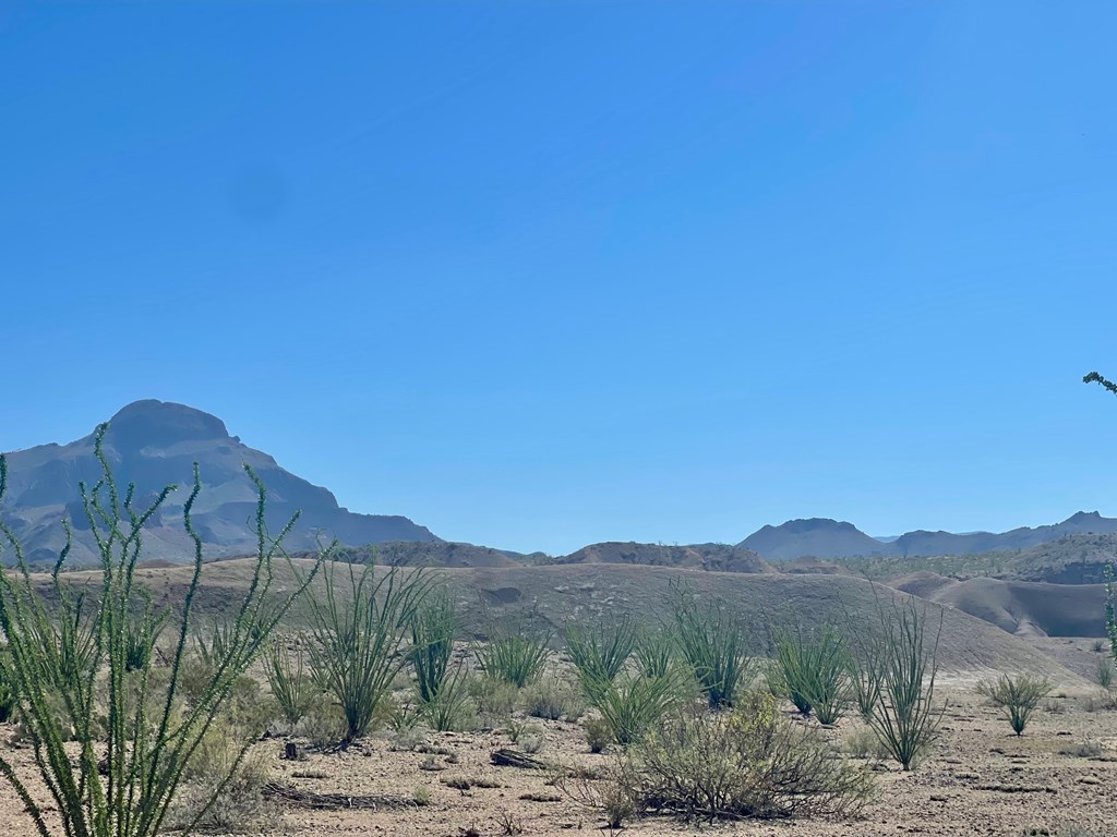 TR:184A Gate 2 Road, Terlingua, Texas image 12