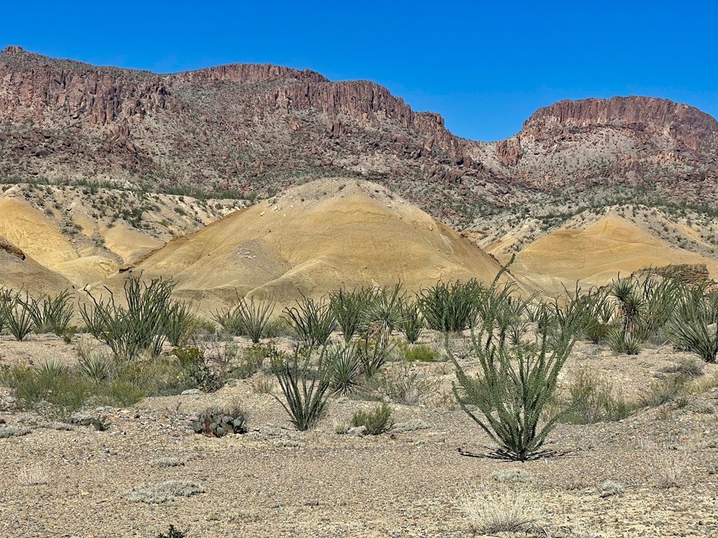 TR:184A Gate 2 Road, Terlingua, Texas image 4