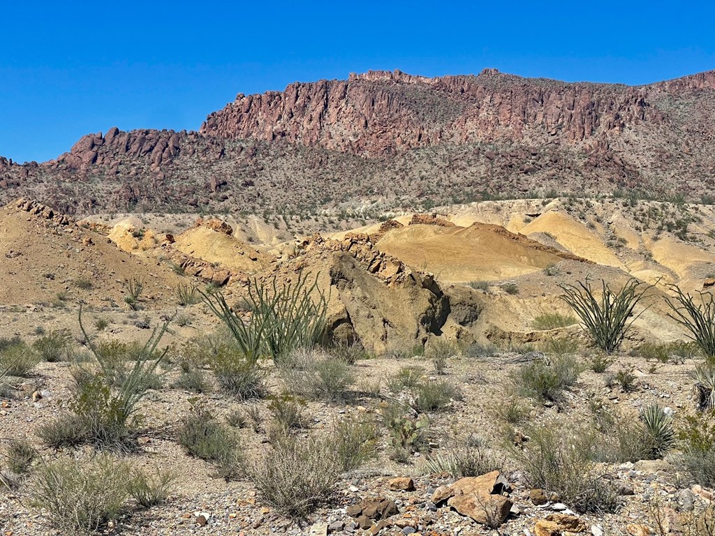 TR:184A Gate 2 Road, Terlingua, Texas image 22