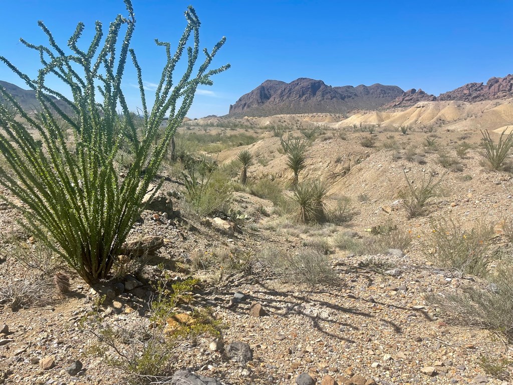 TR:184A Gate 2 Road, Terlingua, Texas image 14