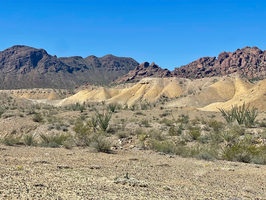 TR:184A Gate 2 Road, Terlingua, Texas image 2