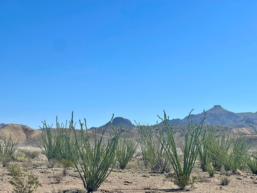 TR:184A Gate 2 Road, Terlingua, Texas image 11