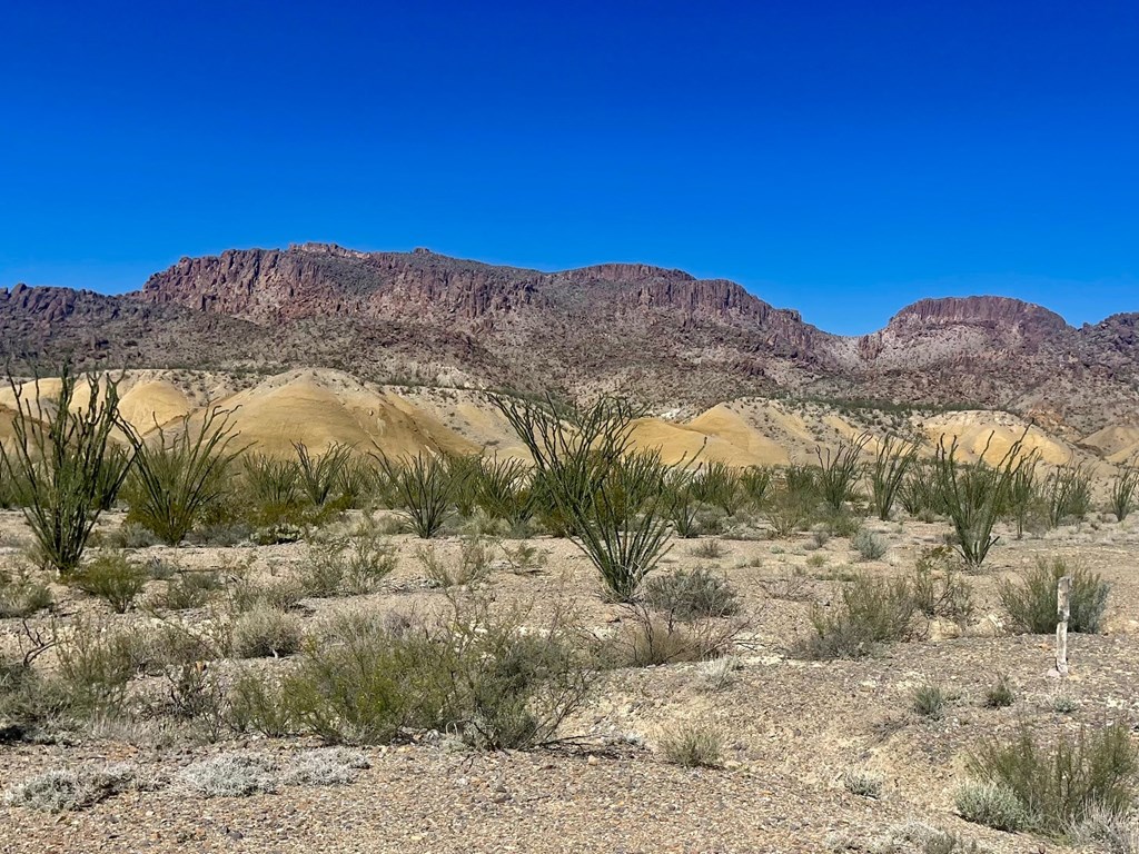 TR:184A Gate 2 Road, Terlingua, Texas image 15