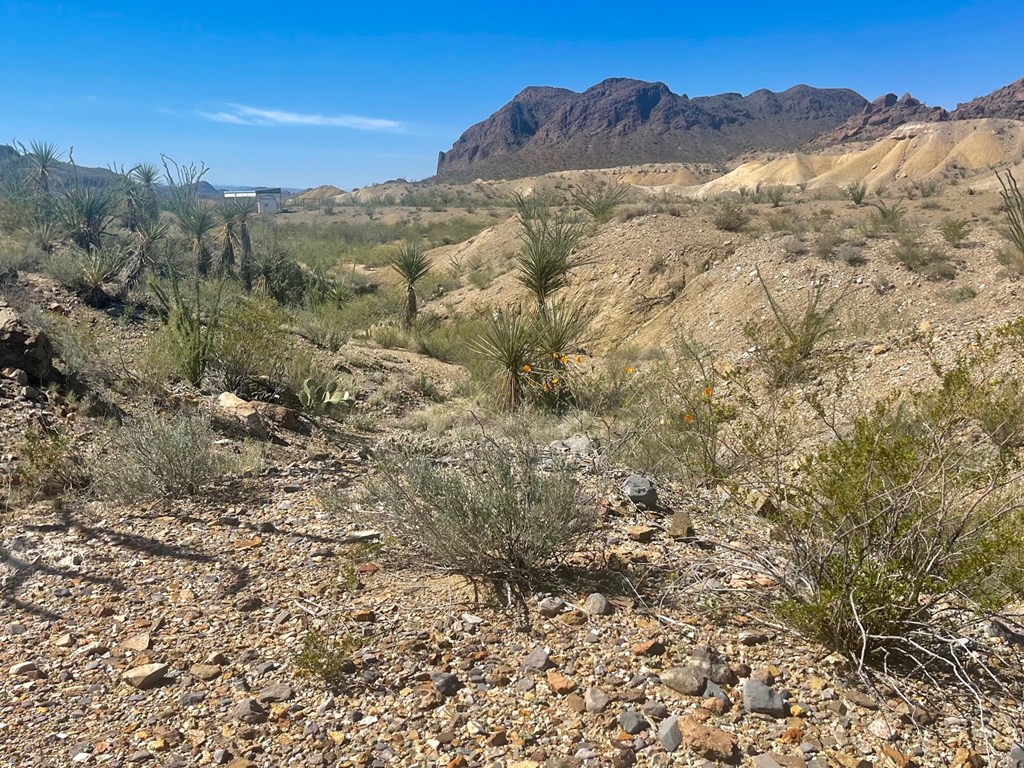 TR:184A Gate 2 Road, Terlingua, Texas image 21