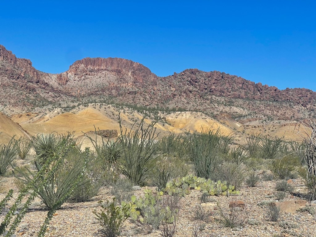 TR:184A Gate 2 Road, Terlingua, Texas image 8