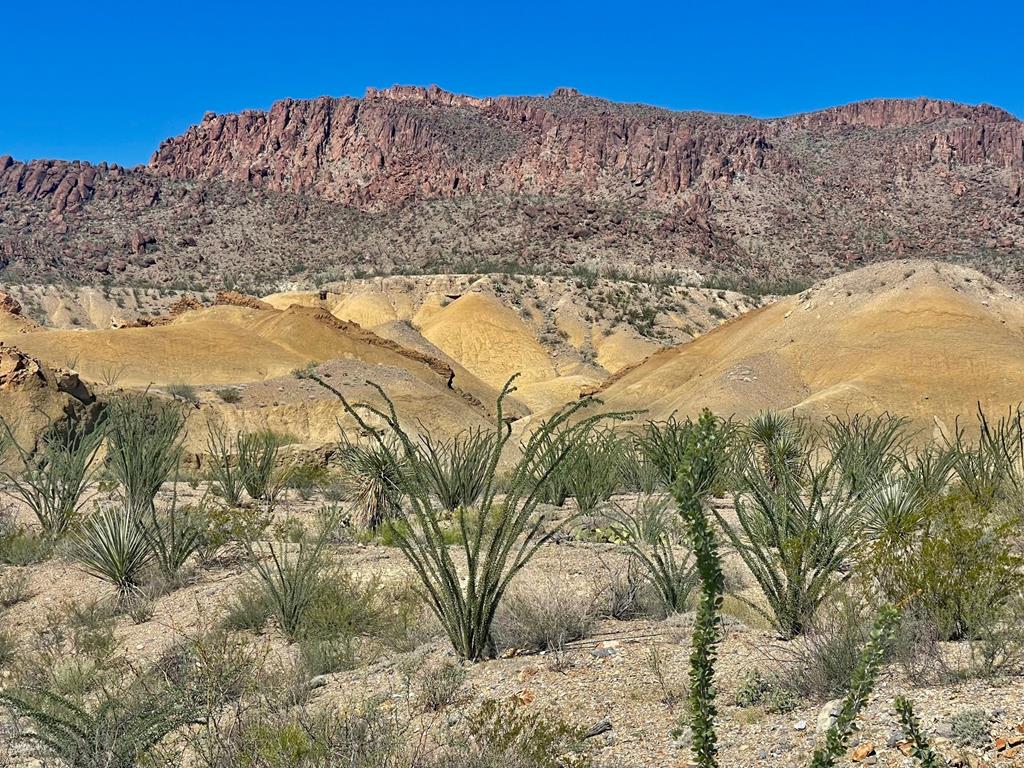 TR:184A Gate 2 Road, Terlingua, Texas image 1