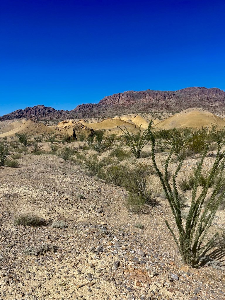 TR:184A Gate 2 Road, Terlingua, Texas image 6