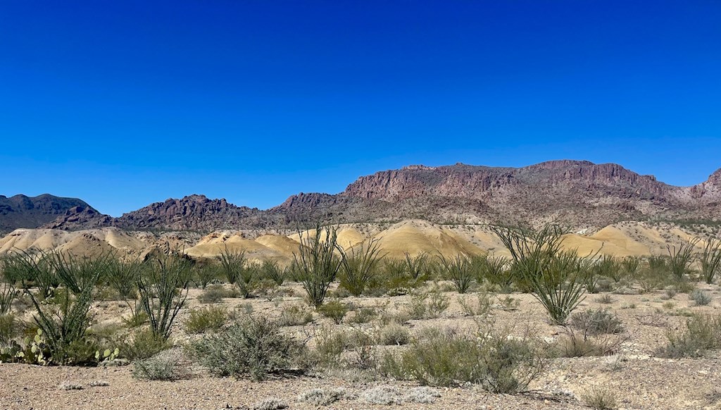 TR:184A Gate 2 Road, Terlingua, Texas image 16