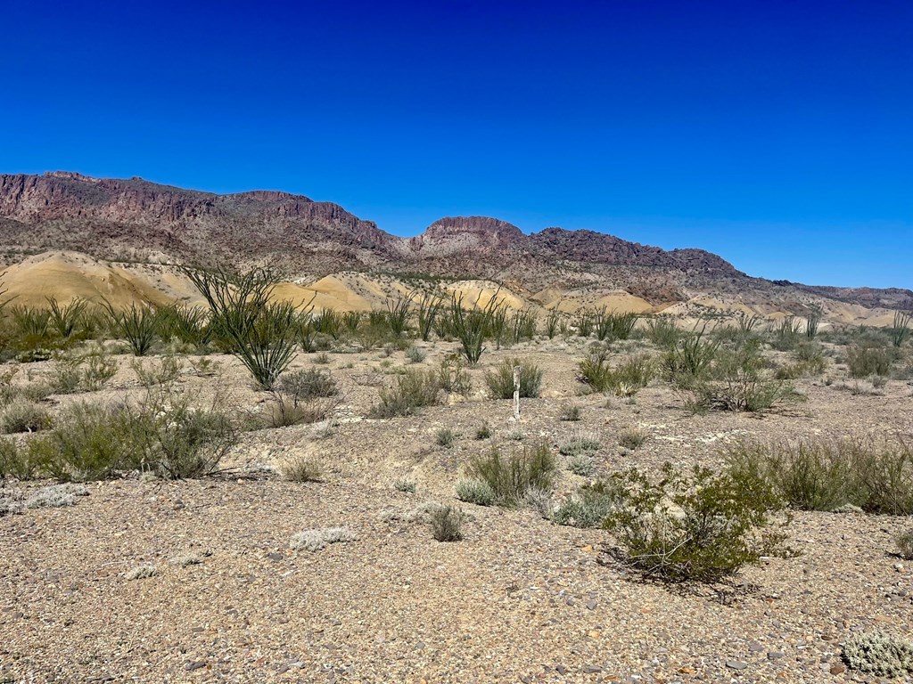 TR:184A Gate 2 Road, Terlingua, Texas image 13