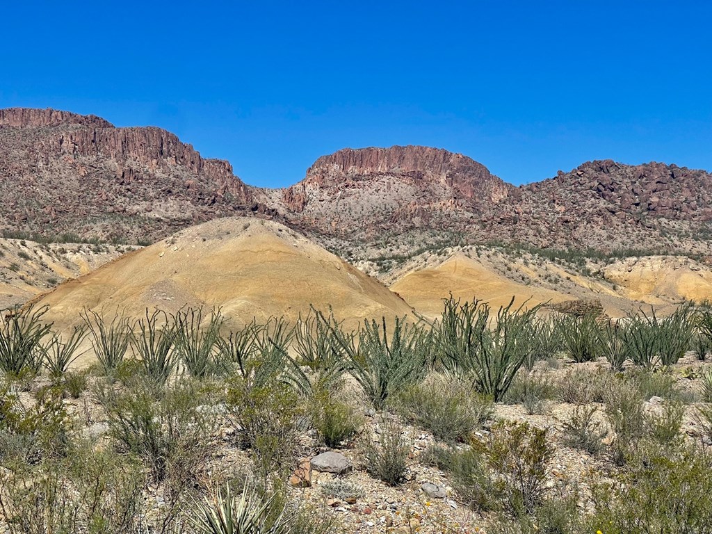 TR:184A Gate 2 Road, Terlingua, Texas image 23