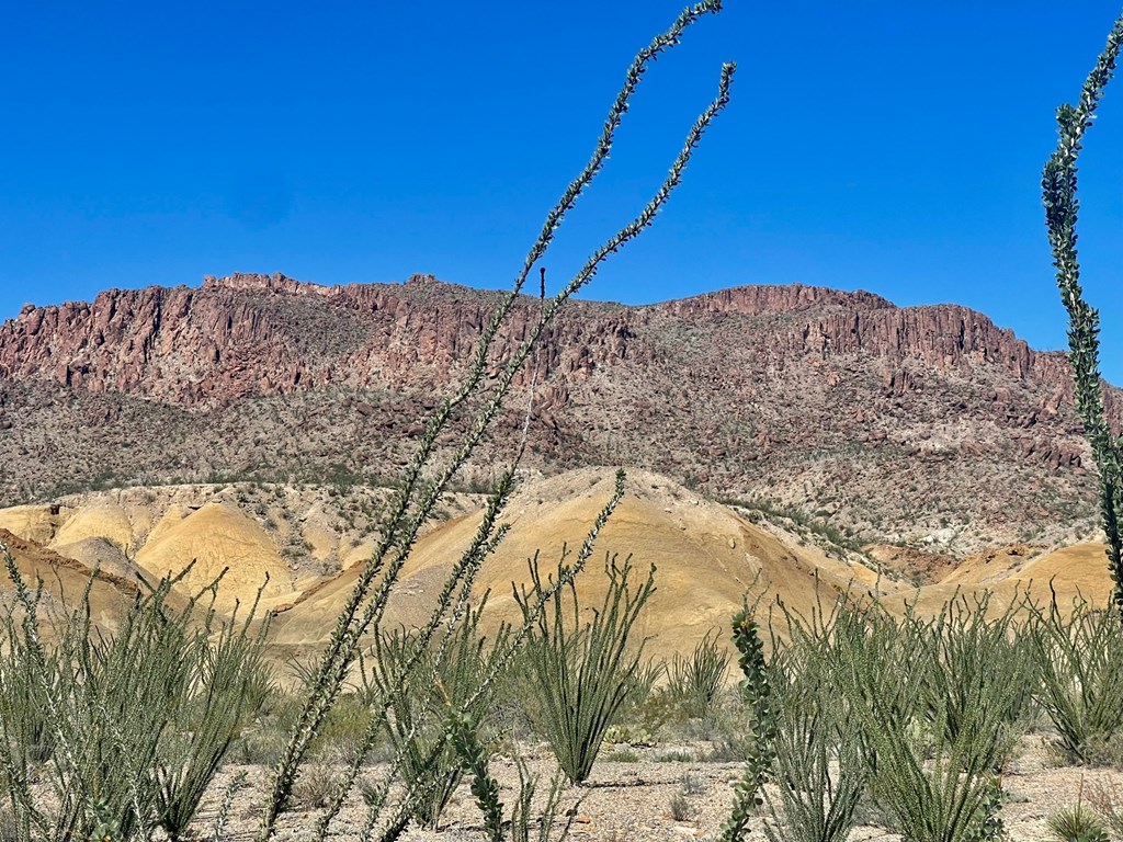 TR:184A Gate 2 Road, Terlingua, Texas image 20