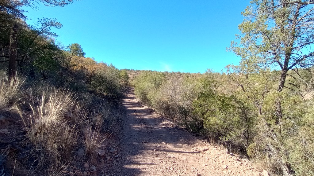 112 Six Shooter Gulch, Fort Davis, Texas image 6