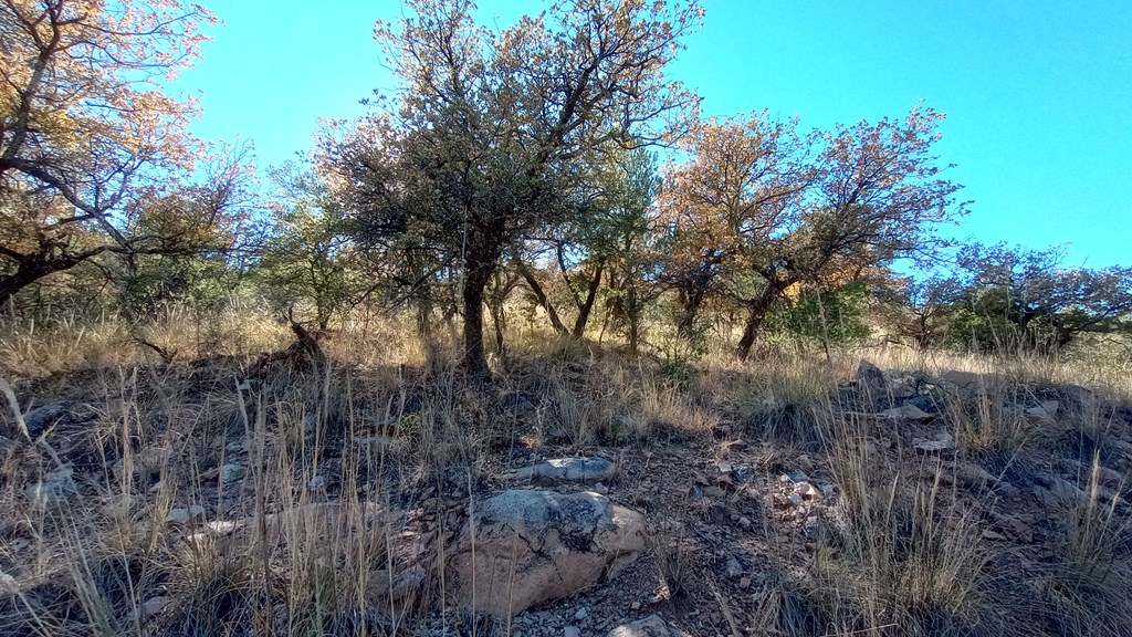 112 Six Shooter Gulch, Fort Davis, Texas image 4