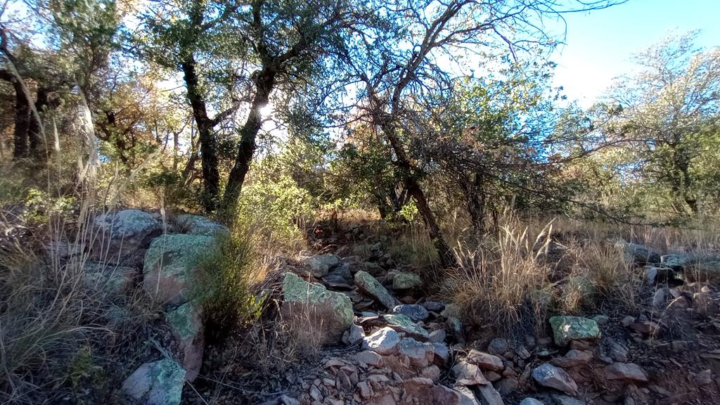 112 Six Shooter Gulch, Fort Davis, Texas image 1