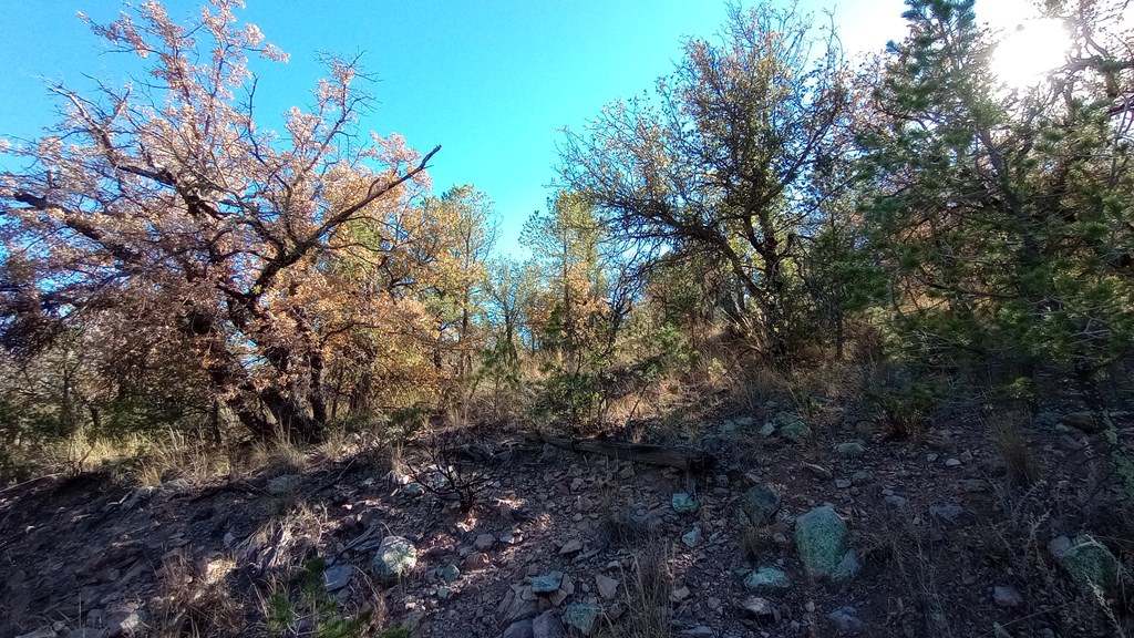 112 Six Shooter Gulch, Fort Davis, Texas image 2