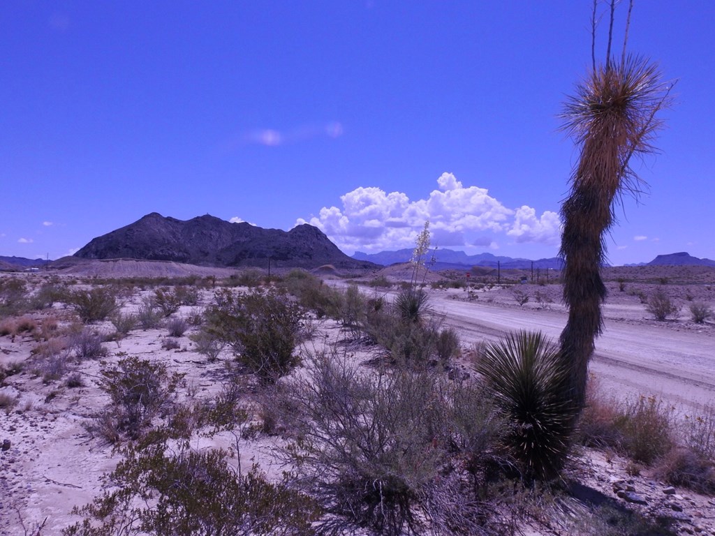 10 N Road Runner Cir, Terlingua, Texas image 16