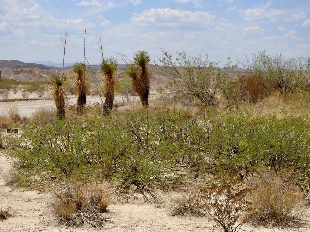 10 N Road Runner Cir, Terlingua, Texas image 8