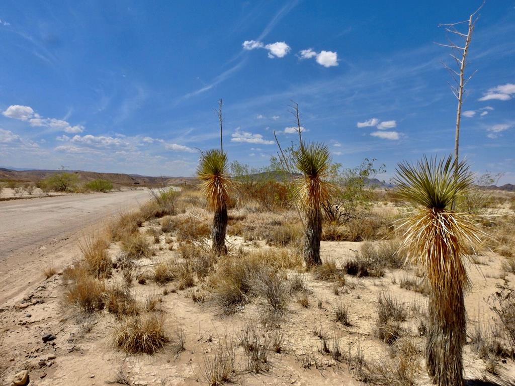 10 N Road Runner Cir, Terlingua, Texas image 11