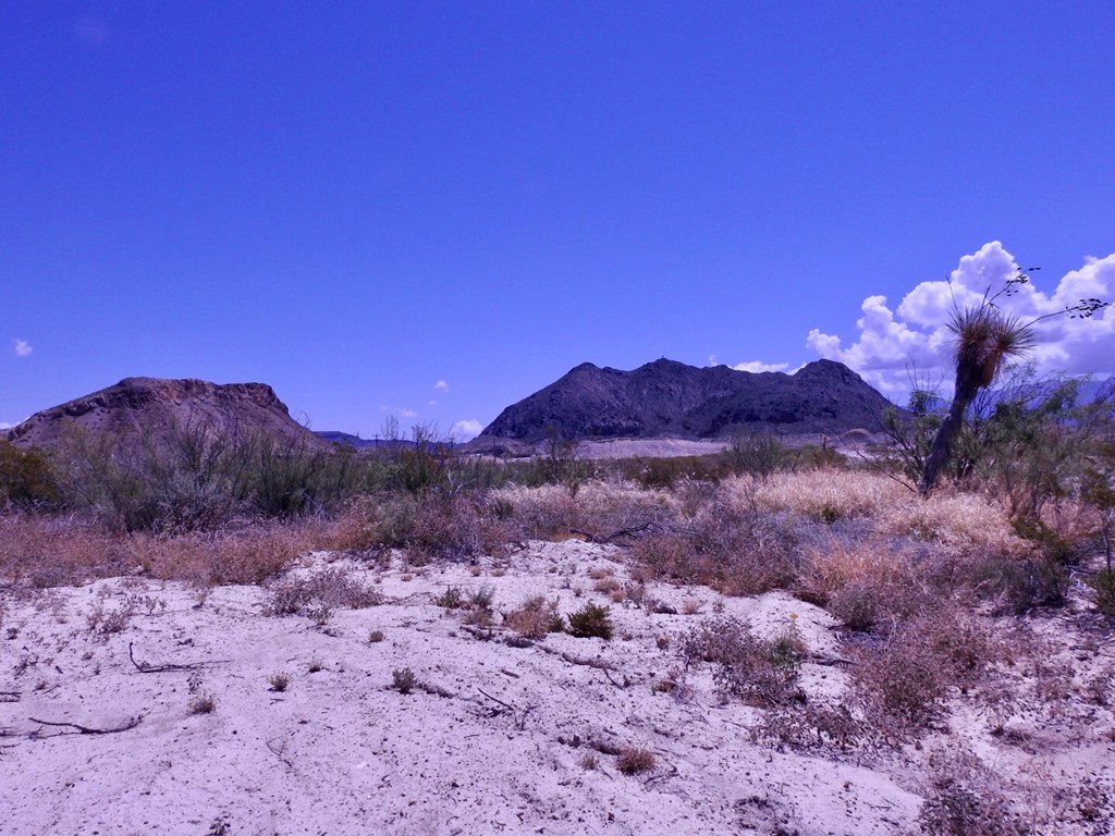 10 N Road Runner Cir, Terlingua, Texas image 18