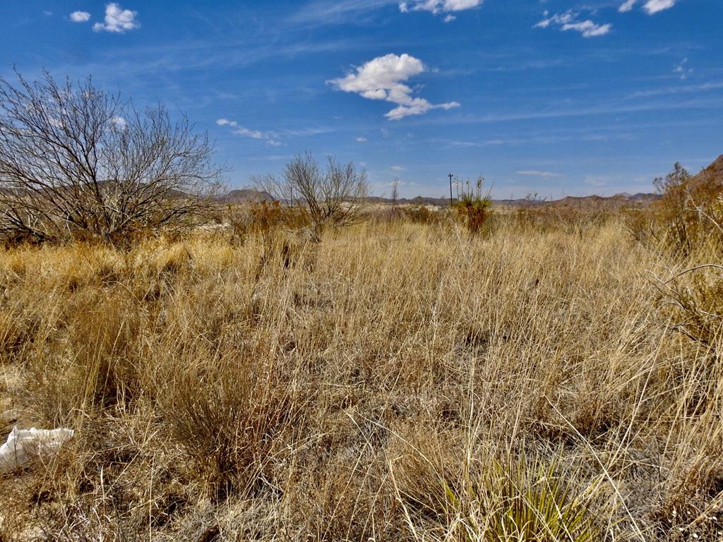 10 N Road Runner Cir, Terlingua, Texas image 9