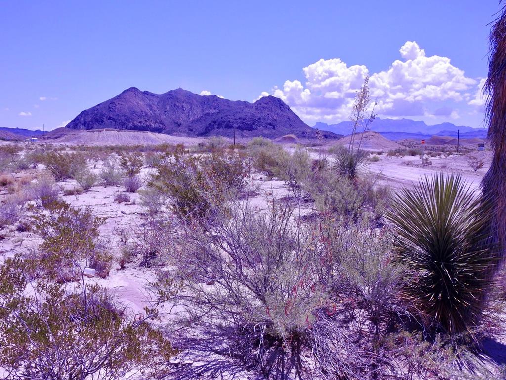 10 N Road Runner Cir, Terlingua, Texas image 14