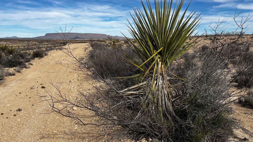 00 Rancho Manana Loop, Terlingua, Texas image 2