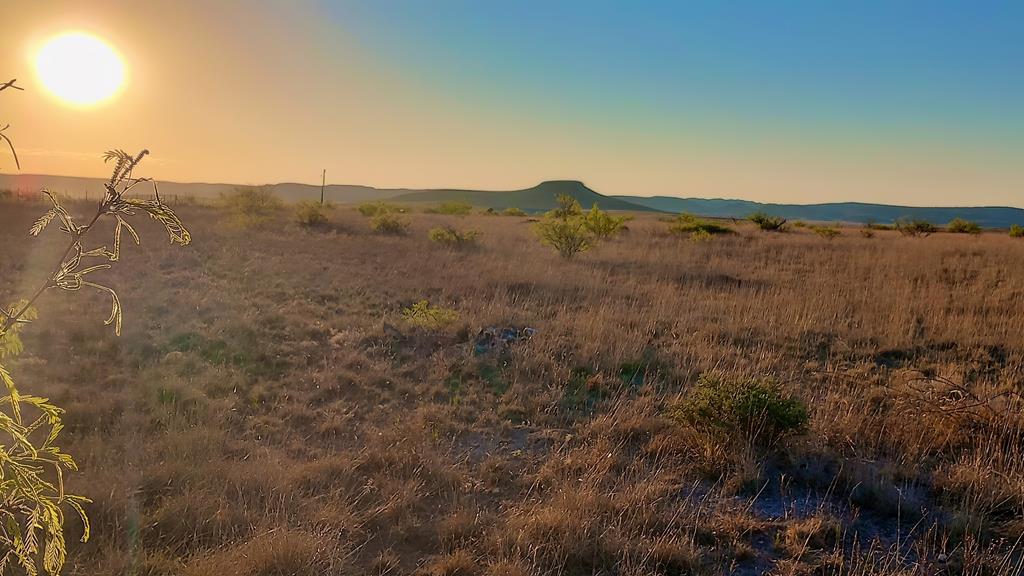 540 San Juan, Fort Davis, Texas image 8