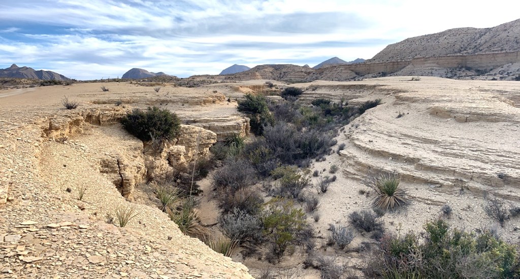 1701 La Luna Rd, Terlingua, Texas image 22