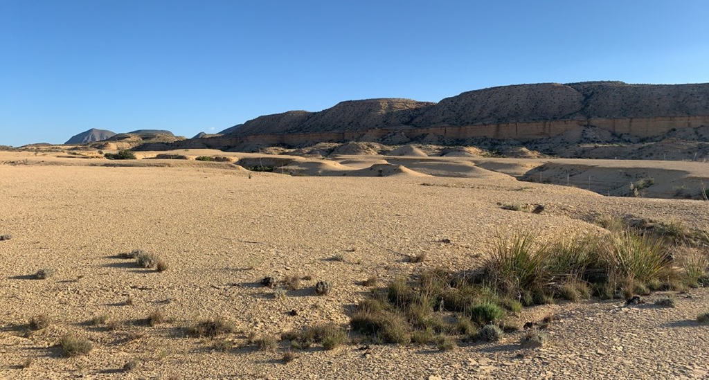 1701 La Luna Rd, Terlingua, Texas image 39