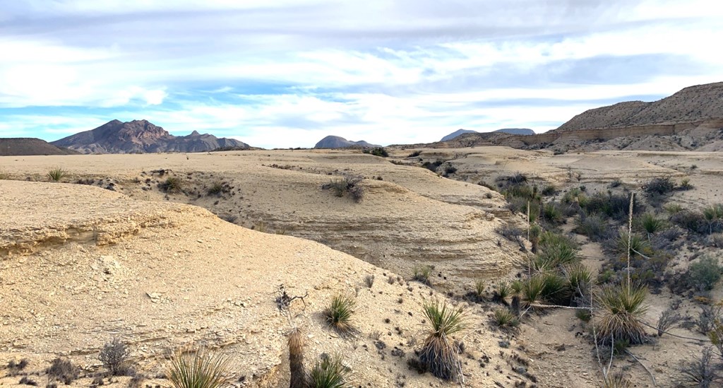 1701 La Luna Rd, Terlingua, Texas image 18