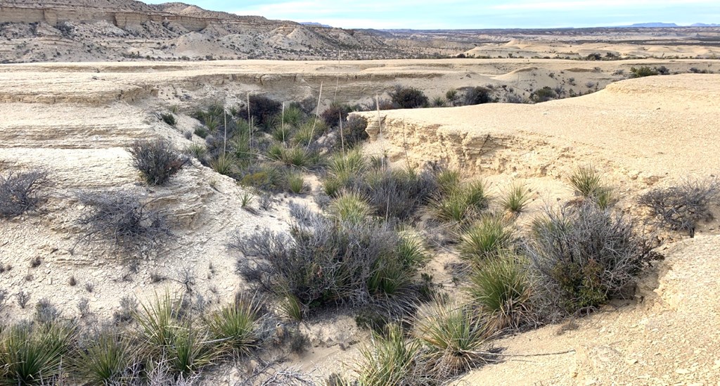 1701 La Luna Rd, Terlingua, Texas image 20