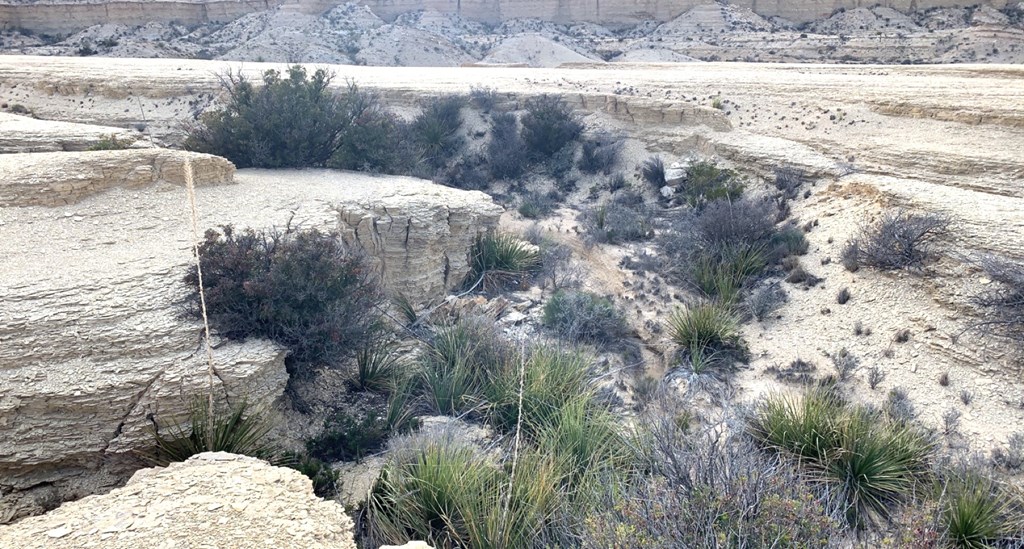 1701 La Luna Rd, Terlingua, Texas image 21