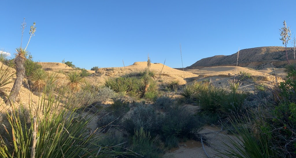 1701 La Luna Rd, Terlingua, Texas image 2