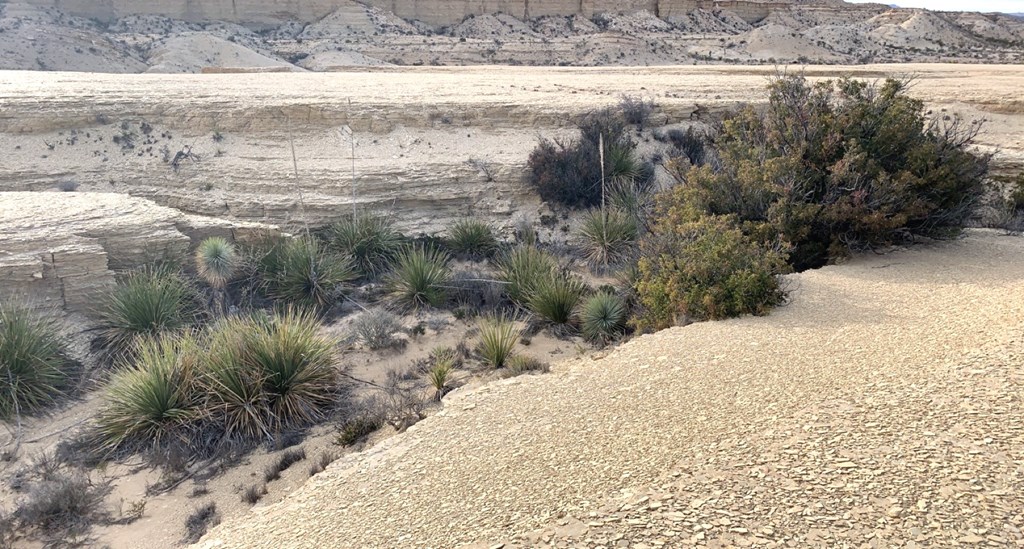 1701 La Luna Rd, Terlingua, Texas image 23