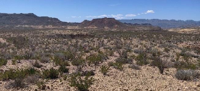 G12 320 Private Rd, Terlingua, Texas image 6