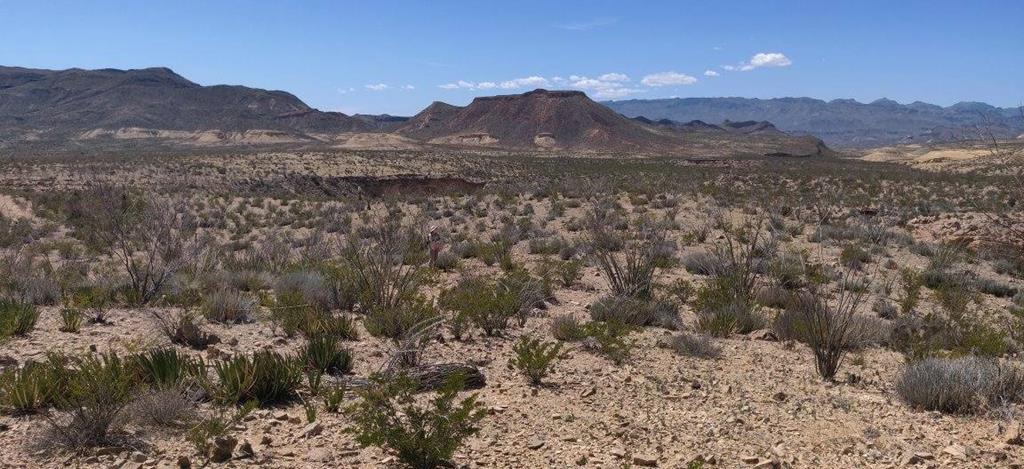 G12 320 Private Rd, Terlingua, Texas image 1