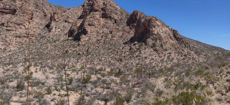 G12 320 Private Rd, Terlingua, Texas image 15