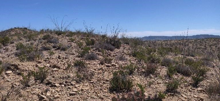 G12 320 Private Rd, Terlingua, Texas image 5