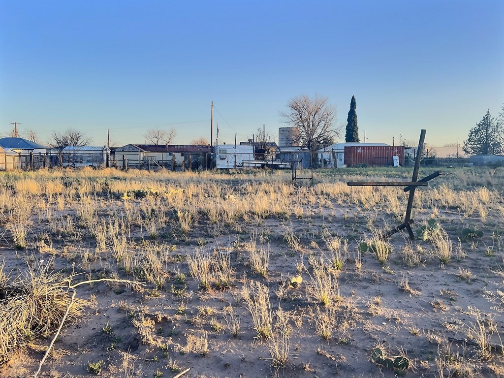 807 W Galveston St, Marfa, Texas image 4