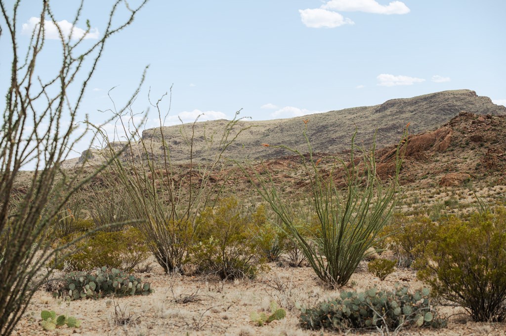 801 Boulder Ridge Loop, Terlingua, Texas image 4