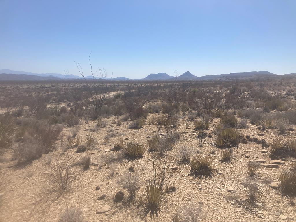 N/A Herman?s Peak Cut Across, Terlingua, Texas image 25