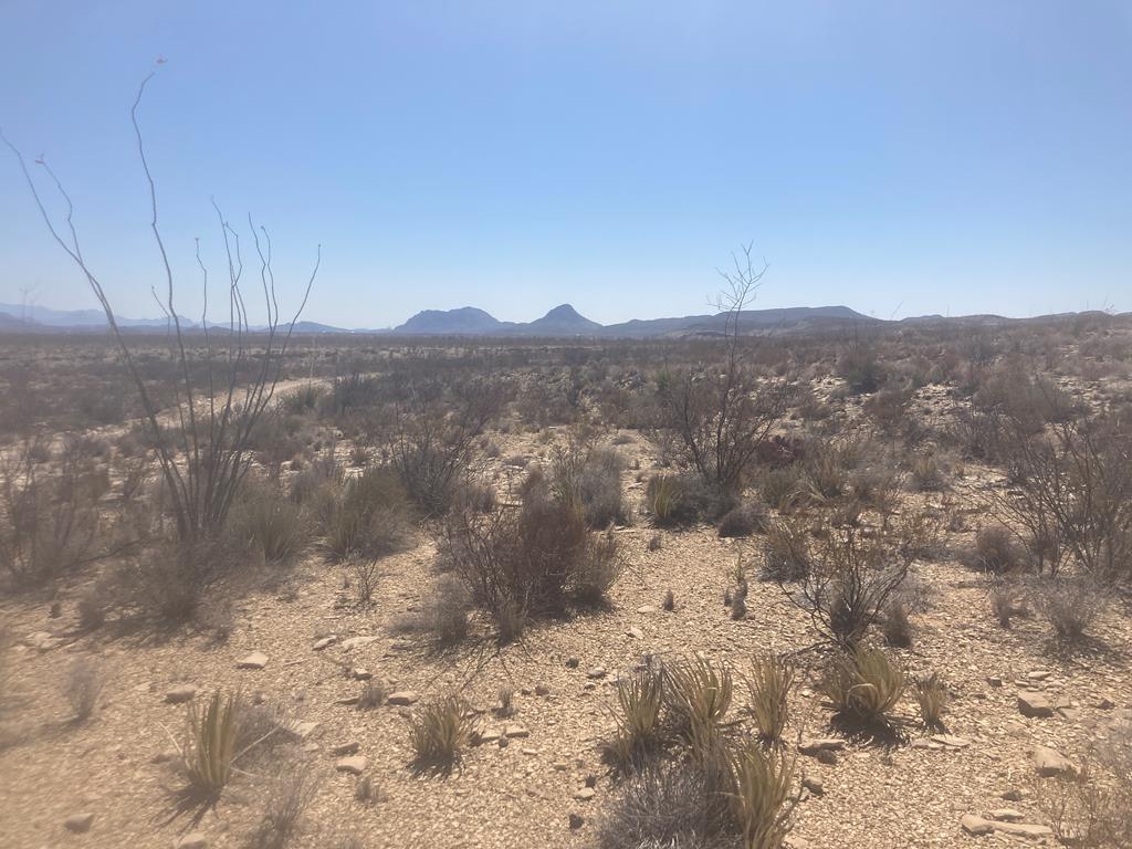 N/A Herman?s Peak Cut Across, Terlingua, Texas image 20