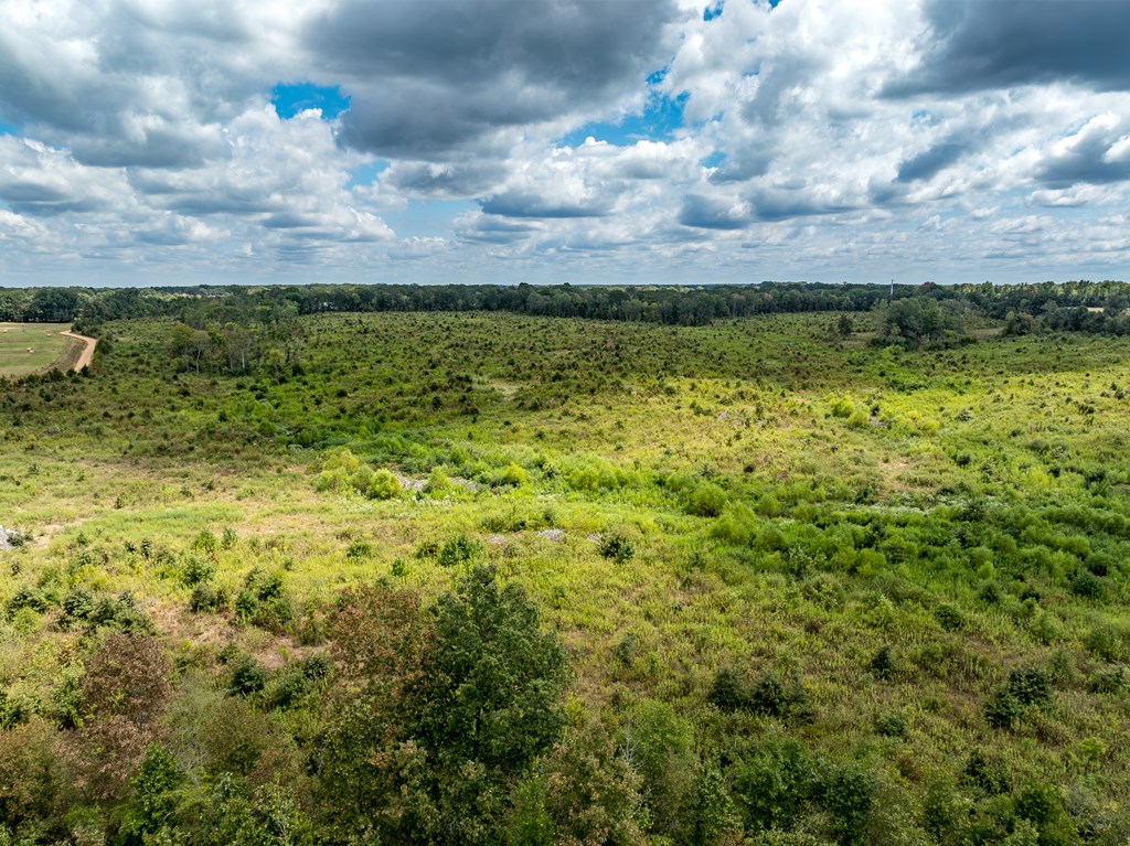 9854 Us Hwy 259 South, De Kalb, Texas image 9