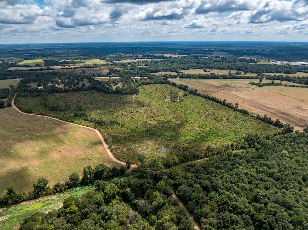 9854 Us Hwy 259 South, De Kalb, Texas image 8