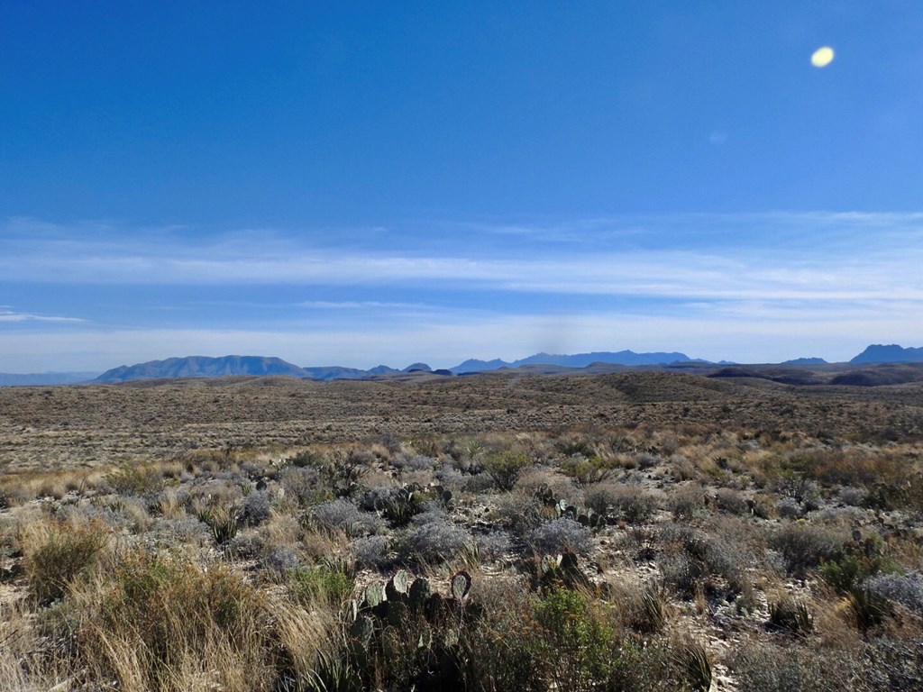 6729 W Cedar Springs Road, Terlingua, Texas image 4