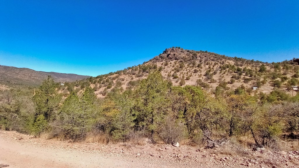 215 Squaw Valley Trail, Fort Davis, Texas image 12