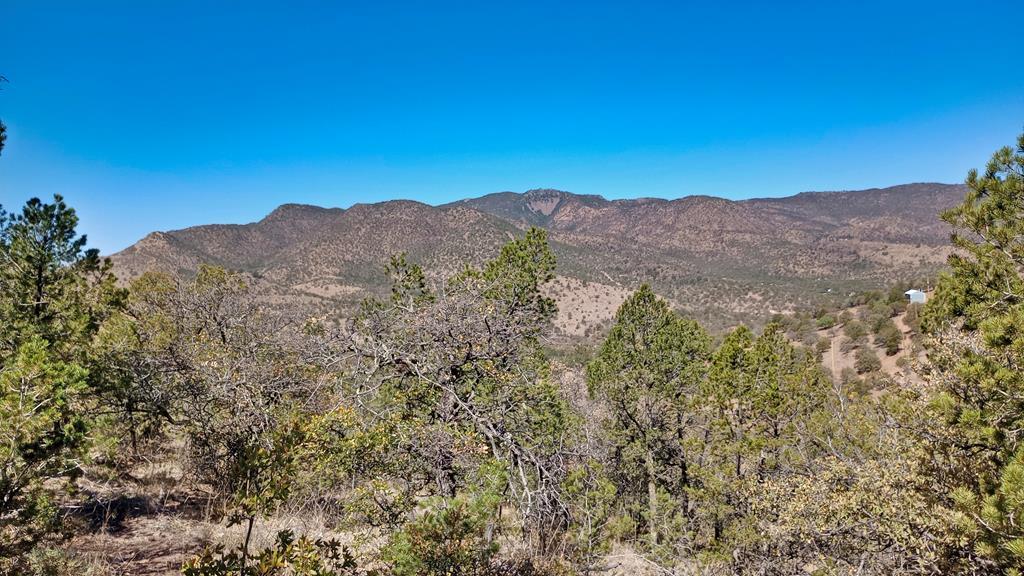 215 Squaw Valley Trail, Fort Davis, Texas image 2