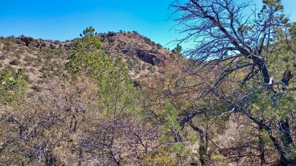 215 Squaw Valley Trail, Fort Davis, Texas image 3